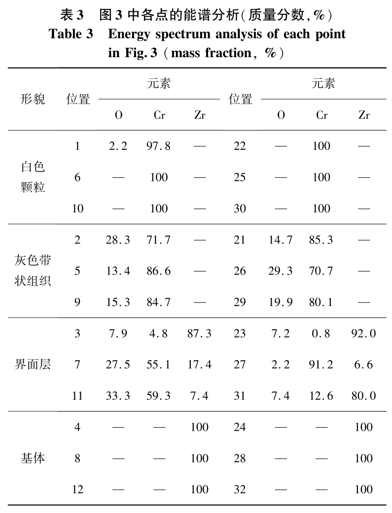 b3.jpg